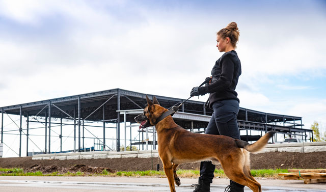 QLD Security Dog Handler