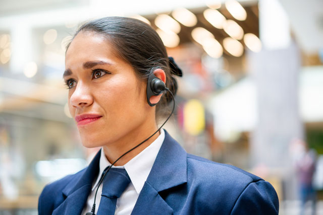 WA Security Consultant